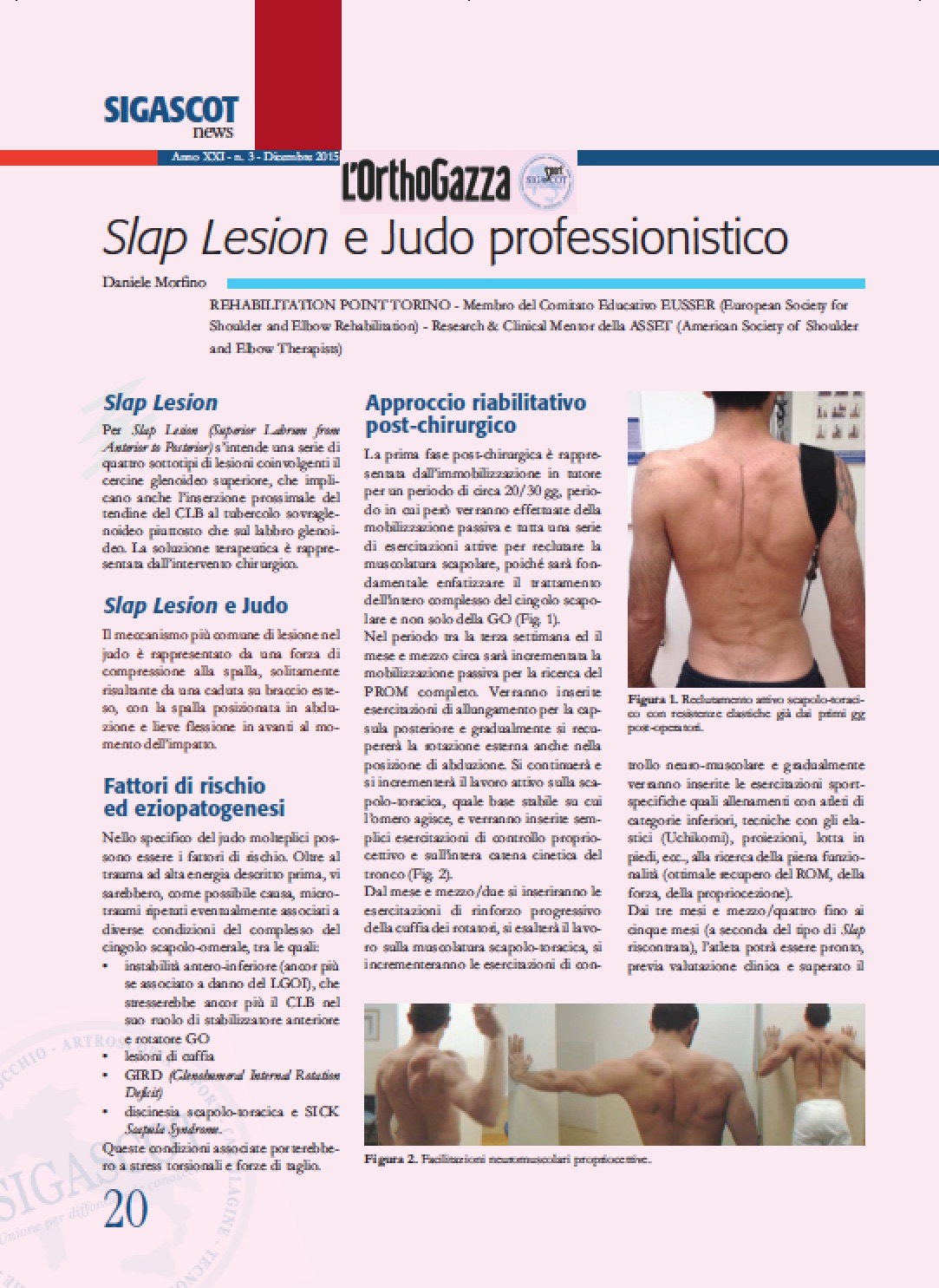 Slap Lesion  Judo Professionistico pag1